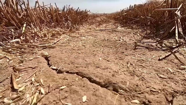 علماء المناخ يدقون ناقوس خطر تفاقم تغير المناخ