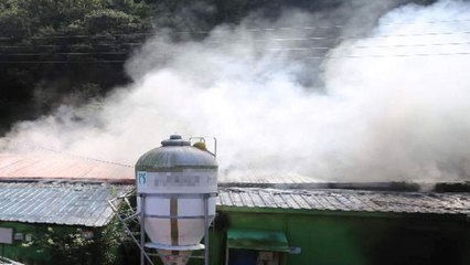 문경 돼지농장서 불...1시간여 만에 진화 / YTN