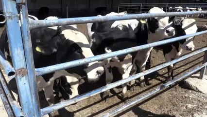 79 bin hektarlık alan ekonomiye kazandırıldı