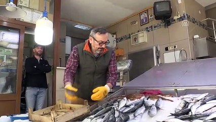 Palamudun tanesi 35 liradan satışa sunuldu