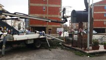 Aversa (CE) - Maltempo, crolla albero in area palazzine di Viale Europa (23.09.19)