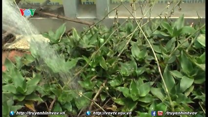 Niềm vui tuổi già | Muôn màu cuộc sống