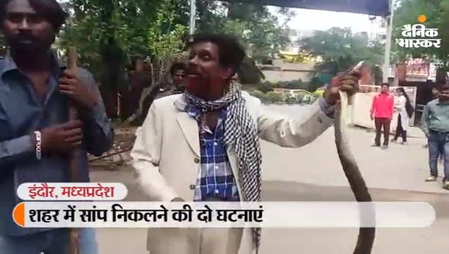 हॉस्टल परिसर में निकला 7 फीट लंबा सांप, थाना प्रभारी के कक्ष में छिपा बैठा था कोबरा