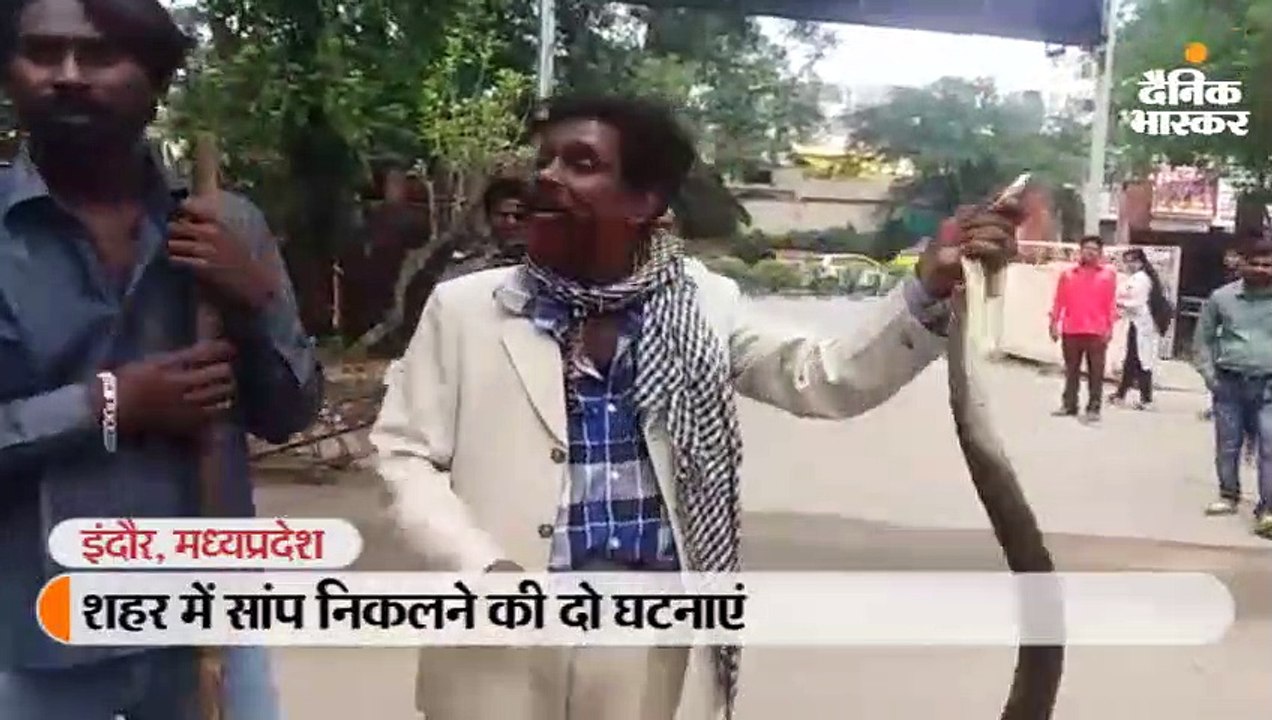 हॉस्टल परिसर में निकला 7 फीट लंबा सांप, थाना प्रभारी के कक्ष में छिपा बैठा था कोबरा