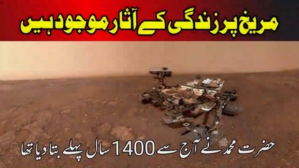 Life Occurs on Mars According to Islam | مریخ پر زندگی | Maulana Zulfiqar Ahmed | Ajaib-ul-Quran