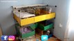 ROOM TOUR JAULA COBAYAS CYC DE 3 PISOS JULIO 2019 | GUINEA PIGS CAGE TOUR | LA GATA VEGANA | CUYOS