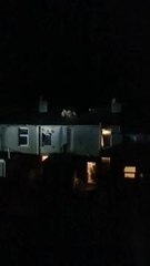 Golden pebble art in memory of Reece Holt