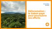 Lutte contre la déforestation : le Gabon encouragé à poursuivre ses efforts