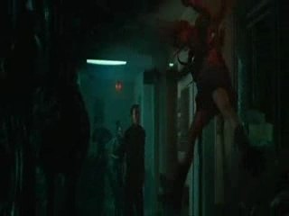 predator aux travaille