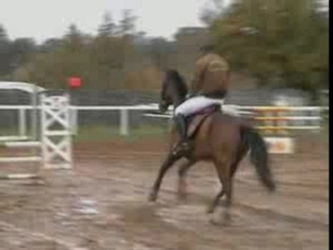 Champion de Luxe JR (lire description)