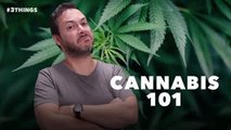 5 Cannabis Stats Every Entrepreneur Should Know