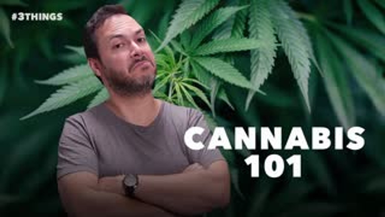 5 Cannabis Stats Every Entrepreneur Should Know