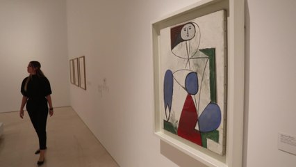 Exposición 'Calder-Picasso'