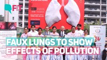 These Faux Lungs Will Show You Effects of Pollution on Your Lungs
