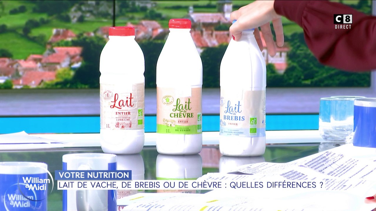 Lait de vache, de brebis ou de chèvre : quelles différences ?