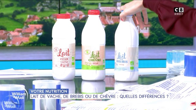 Lait de vache, de brebis ou de chèvre : quelles différences ?