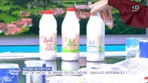 Lait de vache, de brebis ou de chèvre : quelles différences ?