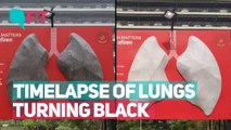 Watch: Timelapse of Delhi Smog Turning Lungs Black in 10 Days!
