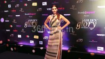 Bollywood and TV Stars at Red Carpet of Golden Glory Awards 2019