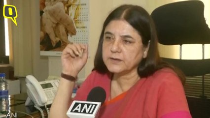 Menka Gandhi on Shelter homes