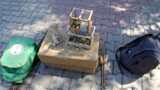 Saka kuşu yakalayanlara 9 bin 800 lira para cezası