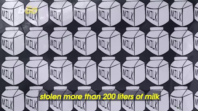 Thief Caught on Tape Stealing 200 Liters of Milk Meant for Elementary Students