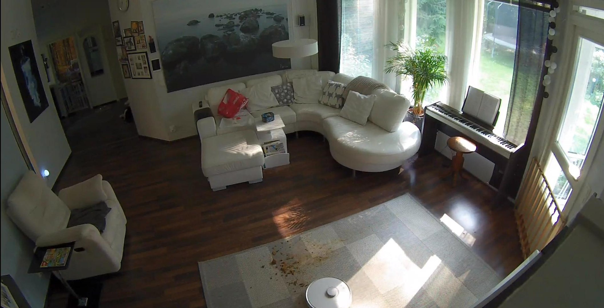 Roomba Vacuum Cleaner Creates a Mess by Spreading Dog Poop on Floor - video  Dailymotion