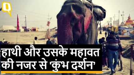 Kumbh 2019: हर पेशवाई की शान, बनता है कुंभ का ये महावत Rehan