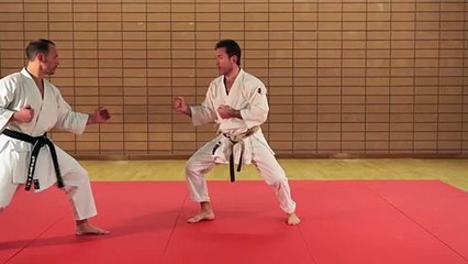 Exemple Jyu ippon kumité 2° dan