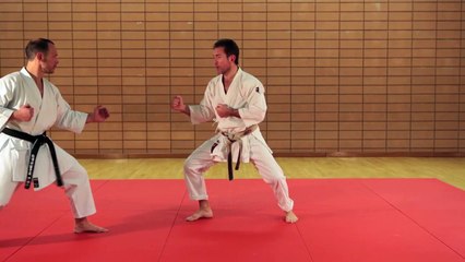 Exemple Jyu ippon kumité 2° dan