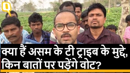 My वोट चौपाल: इस Election में क्या हैं असम के टी ट्राइब के मुद्दे?
