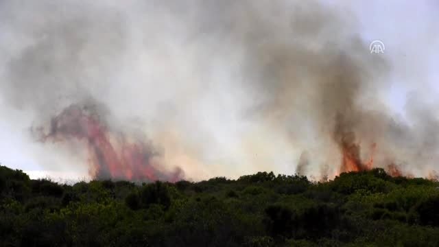 Didim'de makilik alan yandı