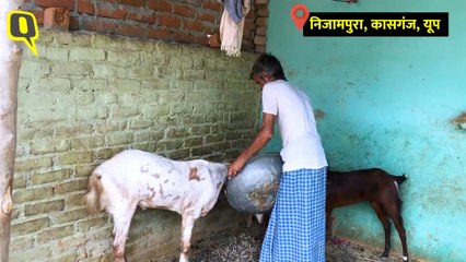 कासगंज: ठाकुरों के बीच निकली थी दलित की बारात, 1 साल बाद के हालात