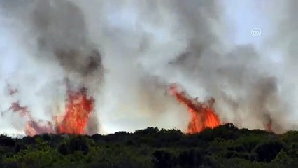Didim'de makilik alan yandı - AYDIN