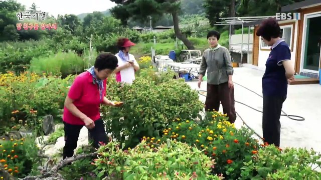 한국기행 - Korea travel_밥 친구를 찾아서 2부- 한솥밥 먹는 날_#002