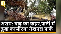 Assam Floods: बाढ़ का कहर,पानी में डूबा Kaziranga National Park | Quint Hindi