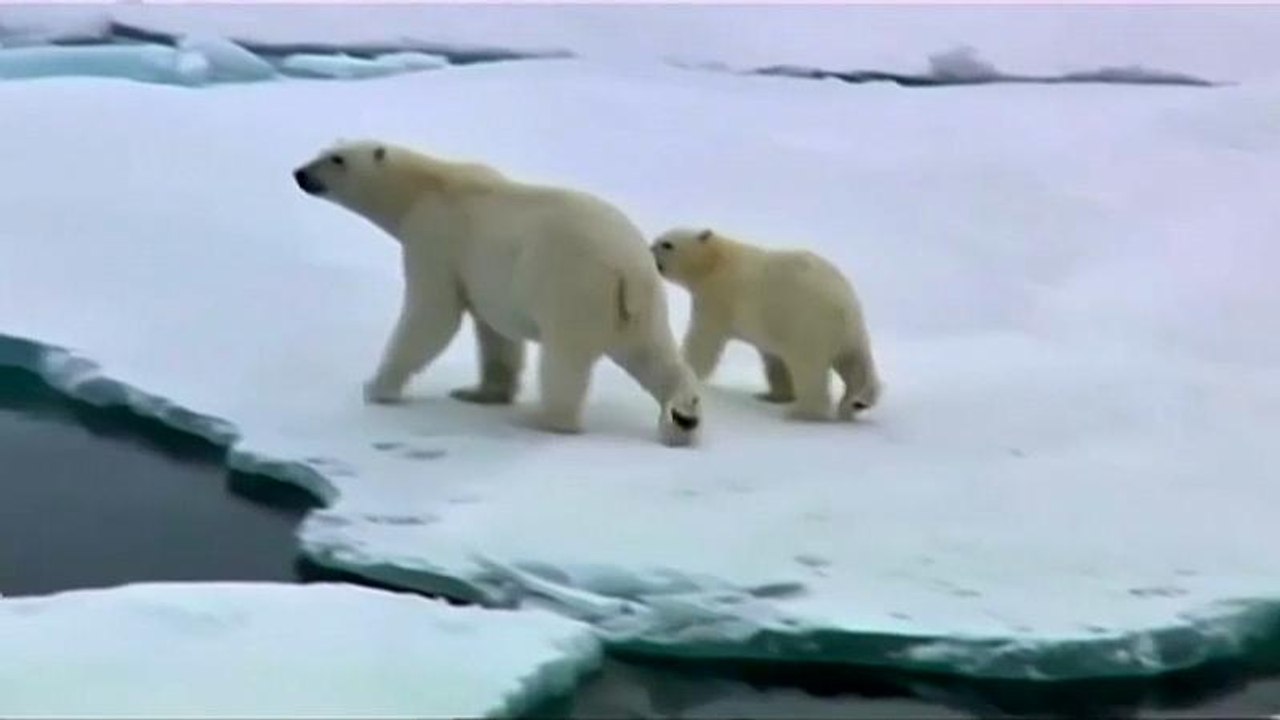 Clima, Nazioni Unite: "Verso un riscaldamento record"