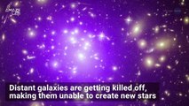 Galaxies Are Being Killed Off and Scientists Don't Know Why