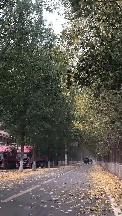 autumn