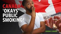 This Week in Weed: Canada 'Okays' Public Smoking!