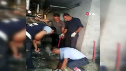 - Yavru kedi mahsur kaldığı yerden saatler sonra çıkarıldı