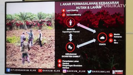Soal Karhutla, KLHK Terus Berupaya Membuat Efek Jera