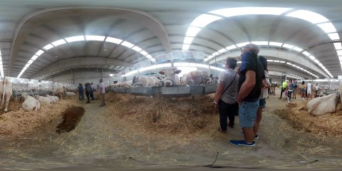 PABELLON DE BOBINO EN 360