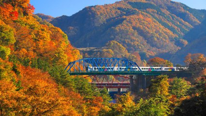 5 Amtrak Rides With Spectacular Fall Foliage View