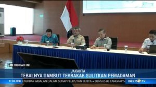 BNPB Terus Berupaya Padamkan Karhutla