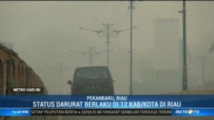 Riau Tetapkan Status Darurat Pencemaran Udara