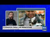 ¿Cómo cuidar a tu mascota durante un desastre natural? | Noticias con Francisco Zea