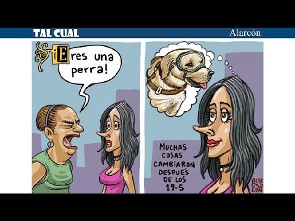 Tal Cual: ¡Eres una perra!