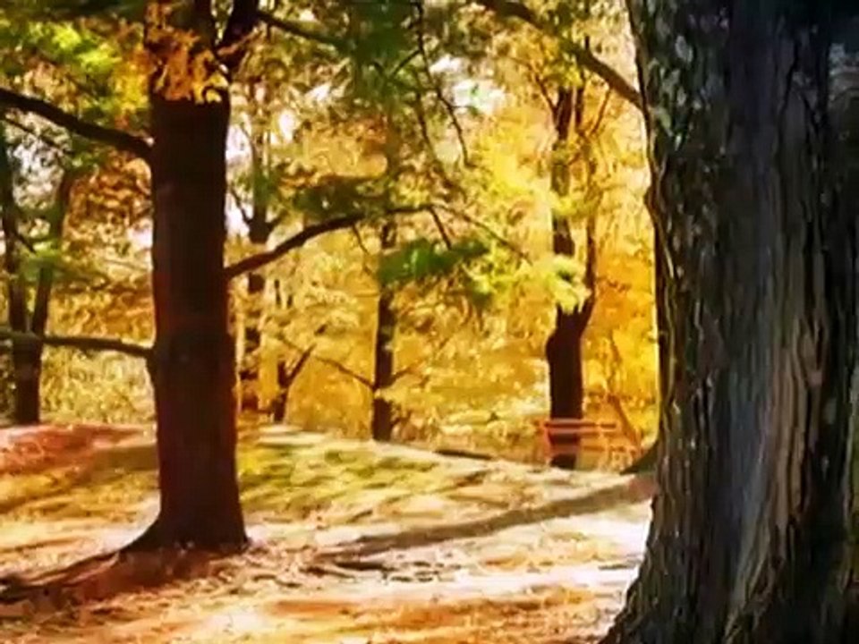 Rachmaninoff-rhapsody