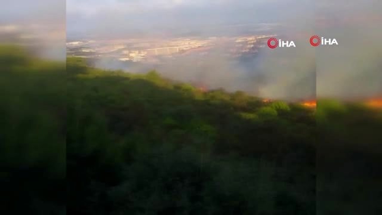 - Pendik'te orman yakan zanlı Y.A., 'silahli terör örgütü üyeliği' ve 'orman yakmak' suçlarından...